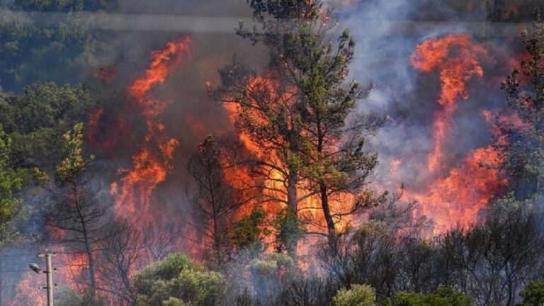 آتش‌سوزی در جنگل‌های چالوس: ایران به دنبال حمایت بین‌المللی برای مهار بحران
