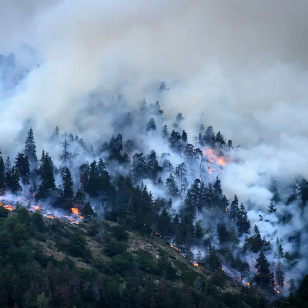 گسترش آتش‌سوزی به دلیل خشکی بیش‌ از حد