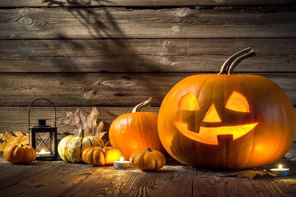 کافه‌ها بعد از هالووین هدف پلمب شدند