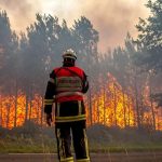 دستگیری عامل آتش‌سوزی عمدی جنگل‌های هیرکانی بابل