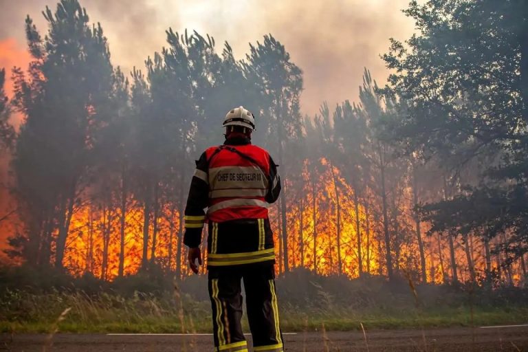 دستگیری عامل آتشسوزی عمدی جنگلهای هیرکانی بابل