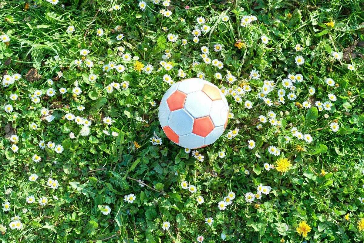 درگذشت تلخ پیشکسوت داوری وسط زمین فوتبال