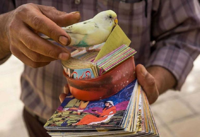 فال حافظ امروز پنجشنبه 22 آبان 1404